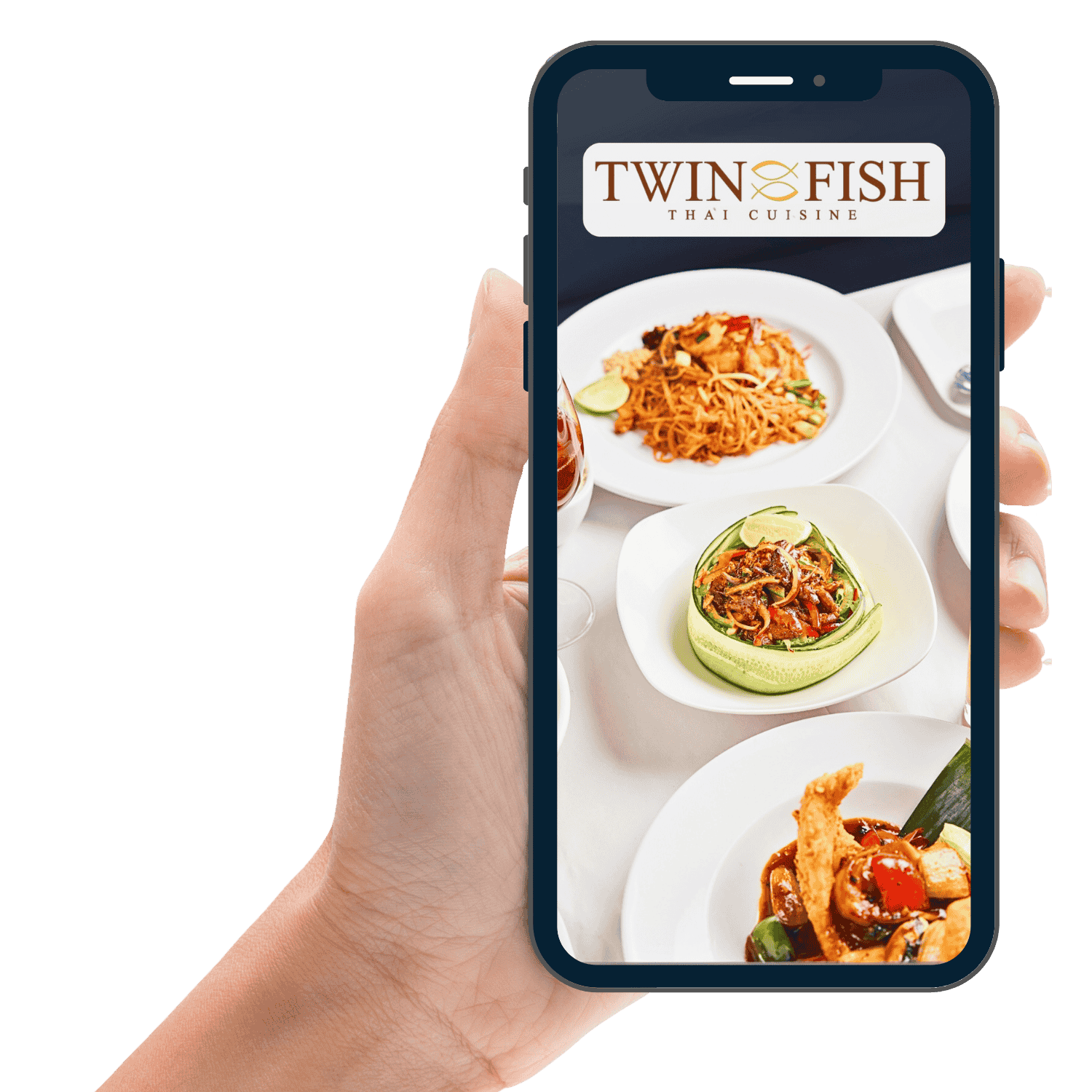 Twin Fish Handheld App Left
